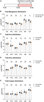 Transcriptome Analysis of the Cerebellum of Mice Fed a Manganese-Deficient Diet